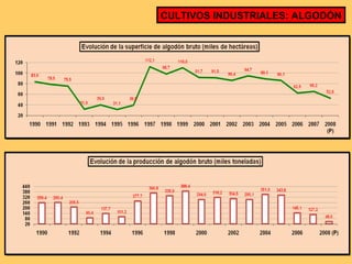 CULTIVOS INDUSTRIALES: ALGODÓN 