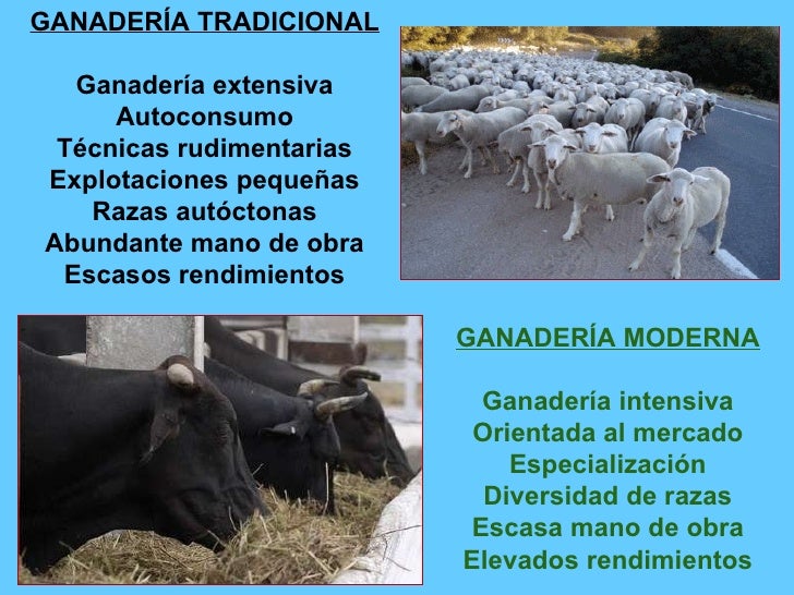 T5e. ganadería