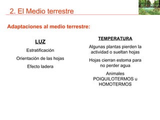 2. El Medio terrestre

Adaptaciones al medio terrestre:

                                    TEMPERATURA
            LUZ
                               Algunas plantas pierden la
        Estratificación         actividad o sueltan hojas
   Orientación de las hojas    Hojas cierran estoma para
        Efecto ladera               no perder agua
                                        Animales
                                   POIQUILOTERMOS u
                                     HOMOTERMOS
 