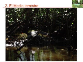2. El Medio terrestre
 