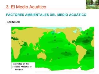 3. El Medio Acuático
FACTORES AMBIENTALES DEL MEDIO ACUÁTICO

SALINIDAD
 