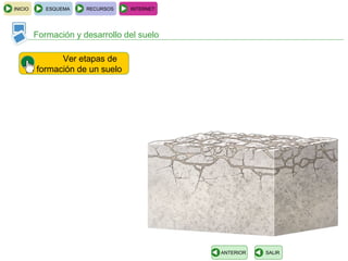 INICIO      ESQUEMA   RECURSOS   INTERNET




         Formación y desarrollo del suelo

               Ver etapas de
         formación de un suelo




                                            ANTERIOR   SALIR
 