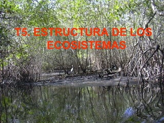 T5. ESTRUCTURA DE LOS
      ECOSISTEMAS
 
