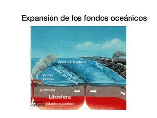 Expansión de los fondos oceánicos
 