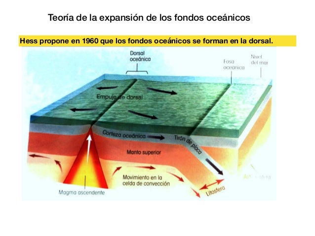 Expansión de los fondos marinos
