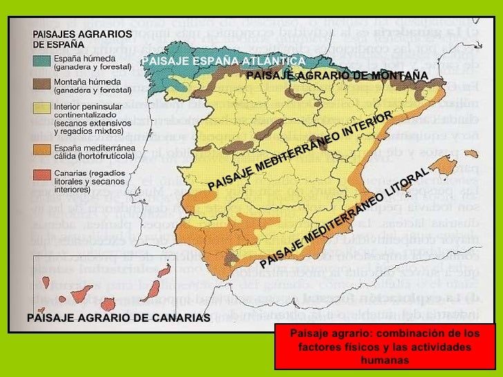 T5f. paisajes agrarios