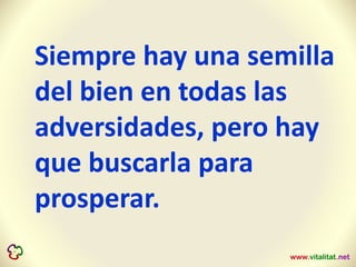 Siempre hay una semilla
del bien en todas las
adversidades, pero hay
que buscarla para
prosperar.
 