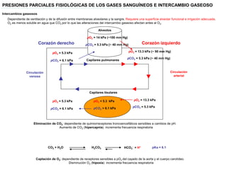 Ppo2 Acid Base Balance Comprehensive Overview of Acid-Base Balance and Physiological ...