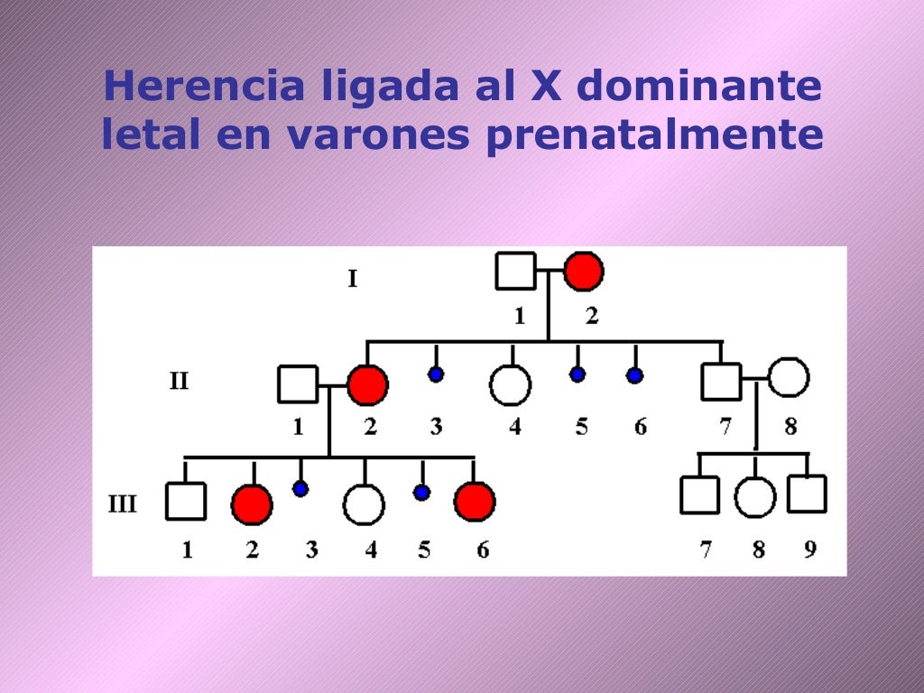T5 herencia ligada al x