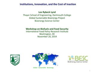 1
Workshop on Biofuels and Food Security
International Food Policy Research Institute
Washington, DC
November 20, 2014
Lee Rybeck Lynd
Thayer School of Engineering, Dartmouth College
Global Sustainable Bioenergy Project
Bioenergy Science Center
Institutions, Innovation, and the Cost of Inaction
GSB
Global Sustainable Bioenergy
 