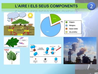 L’AIRE I ELS SEUS COMPONENTS

2

 