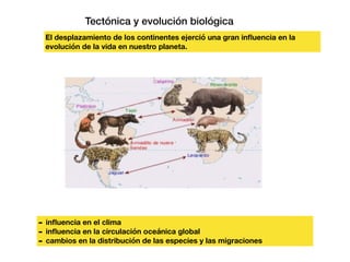 Tectónica y evolución biológica
El desplazamiento de los continentes ejerció una gran inﬂuencia en la
evolución de la vida en nuestro planeta.
- inﬂuencia en el clima
- inﬂuencia en la circulación oceánica global
- cambios en la distribución de las especies y las migraciones
 