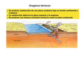 Orogénos térmicos
- Se produce subducción de una placa oceánica bajo un borde continental u
oceánico
- La subducción deforma la placa superior y la engrosa
- Se produce una intensa actividad volcánica sobre la placa subducida
 
