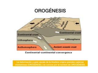 OROGÉNESIS
La deformación a gran escala de la litosfera origina grandes cadenas
montañosas (ORÓGENOS) y se conoce por el nombre de OROGÉNESIS.
 