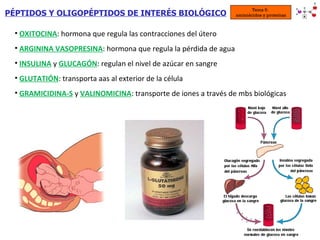 PÉPTIDOS Y OLIGOPÉPTIDOS DE INTERÉS BIOLÓGICO <ul><li>OXITOCINA : hormona que regula las contracciones del útero </li></ul...