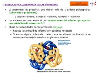 <ul><li>La presentan las proteínas que tienen más de 1 cadena polipeptídica ( subunidad  o  protómero ) </li></ul><ul><li>...