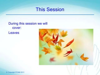 © Copyright PCNM 2011
This Session
During this session we will
cover:
Leaves
 