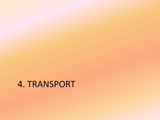 4. TRANSPORT
 