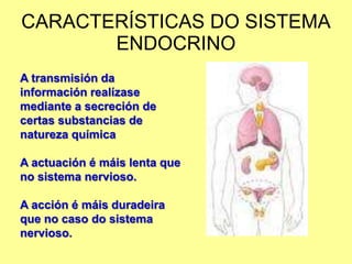 CARACTERÍSTICAS DO SISTEMA
       ENDOCRINO
A transmisión da
información realízase
mediante a secreción de
certas substancias de
natureza química

A actuación é máis lenta que
no sistema nervioso.

A acción é máis duradeira
que no caso do sistema
nervioso.
 