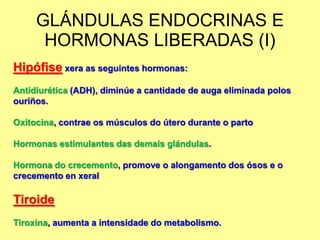 GLÁNDULAS ENDOCRINAS E
      HORMONAS LIBERADAS (I)
Hipófise xera as seguintes hormonas:
Antidiurética (ADH), diminúe a cantidade de auga eliminada polos
ouriños.

Oxitocina, contrae os músculos do útero durante o parto

Hormonas estimulantes das demais glándulas.

Hormona do crecemento, promove o alongamento dos ósos e o
crecemento en xeral

Tiroide
Tiroxina, aumenta a intensidade do metabolismo.
 