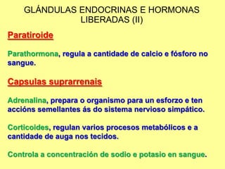GLÁNDULAS ENDOCRINAS E HORMONAS
              LIBERADAS (II)
Paratiroide

Parathormona, regula a cantidade de calcio e fósforo no
sangue.

Capsulas suprarrenais

Adrenalina, prepara o organismo para un esforzo e ten
accións semellantes ás do sistema nervioso simpático.

Corticoides, regulan varios procesos metabólicos e a
cantidade de auga nos tecidos.

Controla a concentración de sodio e potasio en sangue.
 