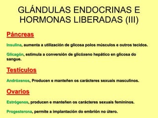 GLÁNDULAS ENDOCRINAS E
     HORMONAS LIBERADAS (III)
Páncreas
Insulina, aumenta a utilización de glicosa polos músculos e outros tecidos.

Glicagón, estimula a conversión de glicóxeno hepático en glicosa do
sangue.

Testículos
Andróxenos, Producen e manteñen os carácteres sexuais masculinos.

Ovarios
Estrógenos, producen e manteñen os carácteres sexuais femininos.

Progesterona, permite a implantación do embrión no útero.
 