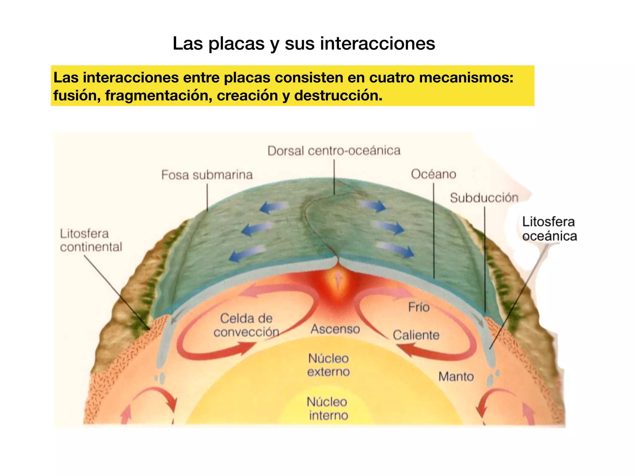 Fundamentos de la teoria de la tectonica de placas | PDF
