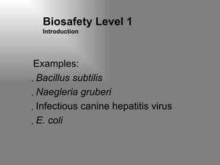 Biosafety Level 1  Introduction Examples: Bacillus subtilis Naegleria gruberi Infectious canine hepatitis virus E. coli 