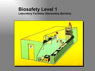Biosafety Level 1  Laboratory Facilities (Secondary Barriers) 