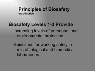 Principles of Biosafety  Introduction Biosafety Levels 1-3 Provide Increasing levels of personnel and environmental protection Guidelines for working safely in microbiological and biomedical laboratories 