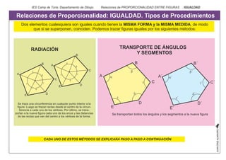 IES Camp de Túria. Departamento de Dibujo. Relaciones de PROPORCIONALIDAD ENTRE FIGURAS . IGUALDAD 
Relaciones de Proporci...
