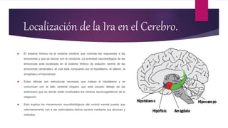 Localización de la Ira en el Cerebro.
 El sistema límbico es el sistema cerebral que controla las respuestas a las
emociones y que se asocia con la conducta. La actividad neurobiológica de las
emociones está localizada en el sistema límbico (la estación central de las
emociones cerebrales), el cual está compuesto por el hipotálamo, el tálamo, la
amígdala y el hipocampo.
 Estas últimas son estructuras nerviosas que rodean el hipotálamo y se
comunican con el tallo cerebral (órgano que está situado debajo de las
anteriores) que es donde están localizados los centros neurovegetativos de la
relajación.
 Esto explica los mecanismos neurofisiológicos del control mental puesto que
voluntariamente van a ser estimulados dichos centros mediante sus técnicas y
métodos.
 