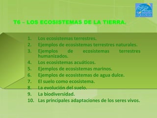 T6 – LOS ECOSISTEMAS DE LA TIERRA.


    1.  Los ecosistemas terrestres.
    2.  Ejemplos de ecosistemas terrestres naturales.
    3.  Ejemplos      de     ecosistemas      terrestres
        humanizados.
    4. Los ecosistemas acuáticos.
    5. Ejemplos de ecosistemas marinos.
    6. Ejemplos de ecosistemas de agua dulce.
    7. El suelo como ecosistema.
    8. La evolución del suelo.
    9. La biodiversidad.
    10. Las principales adaptaciones de los seres vivos.
 