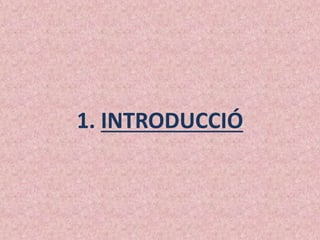 1. INTRODUCCIÓ
 