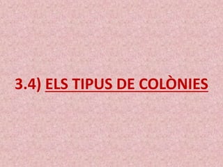 3.4) ELS TIPUS DE COLÒNIES
 