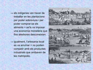  els indígenes van haver de
treballar en les plantacions
per poder sobreviure i per
poder comprar-se els
aliments = se’ls va imposar
una economia monetària que
fins aleshores desconeixien.
 igualment, l’artesania local
es va arruïnar = no podien
competir amb els productes
industrials que arribaven de
les metròpolis.
 