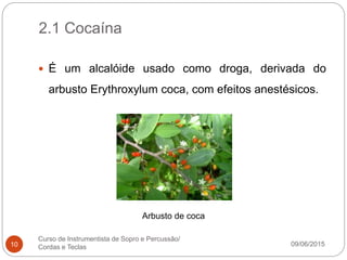 2.1 Cocaína
09/06/2015
Curso de Instrumentista de Sopro e Percussão/
Cordas e Teclas10
 É um alcalóide usado como droga, derivada do
arbusto Erythroxylum coca, com efeitos anestésicos.
Arbusto de coca
 