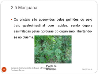2.5 Marijuana
09/06/2015
Curso de Instrumentista de Sopro e Percussão/
Cordas e Teclas14
 Os cristais são absorvidos pelos pulmões ou pelo
trato gastrointestinal com rapidez, sendo depois
assimiladas pelas gorduras do organismo, libertando-
se no plasma.
Planta de
Cannabis
 