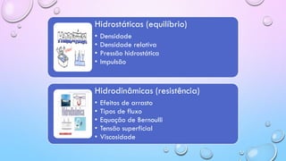 Hidrostáticas (equilíbrio)
• Densidade
• Densidade relativa
• Pressão hidrostática
• Impulsão
Hidrodinâmicas (resistência)
• Efeitos de arrasto
• Tipos de fluxo
• Equação de Bernoulli
• Tensão superficial
• Viscosidade
 
