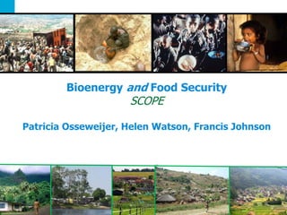 1Challenge the future
Bioenergy and Food Security
SCOPE
Patricia Osseweijer, Helen Watson, Francis Johnson
 