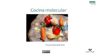Cocina molecular
BY Luciana Paoloni (CC BY NC SA)
 