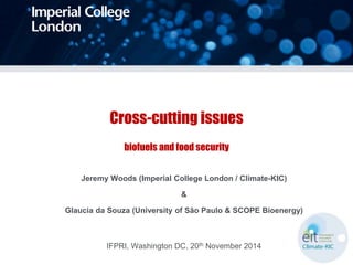 Cross-cutting issues
biofuels and food security
Jeremy Woods (Imperial College London / Climate-KIC)
&
Glaucia da Souza (University of São Paulo & SCOPE Bioenergy)
IFPRI, Washington DC, 20th November 2014
 