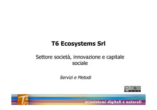 T6 Ecosystems Srl

Settore società, innovazione e capitale
                sociale

          Servizi e Metodi
 