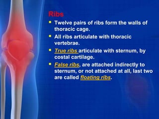 Skeletal system pharma | PPTX