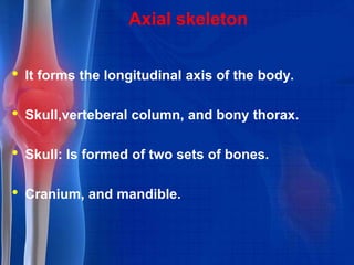 Axial skeleton
• It forms the longitudinal axis of the body.
• Skull,verteberal column, and bony thorax.
• Skull: Is formed of two sets of bones.
• Cranium, and mandible.
 