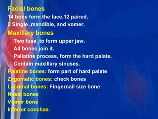 fuse to form the coxal bone