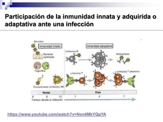 Inmunodeficiencia
Autoinmunidad
Inmunosupresión
 