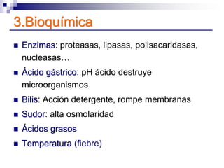 3.Bioquímica
 Enzimas: proteasas, lipasas, polisacaridasas,
nucleasas…
 Ácido gástrico: pH ácido destruye
microorganismo...