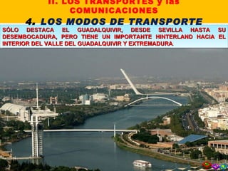 SÓLO DESTACA EL GUADALQUIVIR, DESDE SEVILLA HASTA SU DESEMBOCADURA, PERO TIENE UN IMPORTANTE HINTERLAND HACIA EL INTERIOR DEL VALLE DEL GUADALQUIVIR Y EXTREMADURA . II. LOS TRANSPORTES y las COMUNICACIONES 4 .  LOS MODOS DE TRANSPORTE 