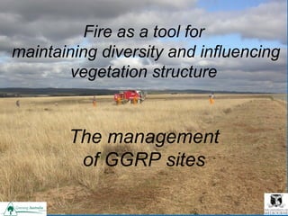 Fire as a tool for
maintaining diversity and influencing
vegetation structure
The management
of GGRP sites
 